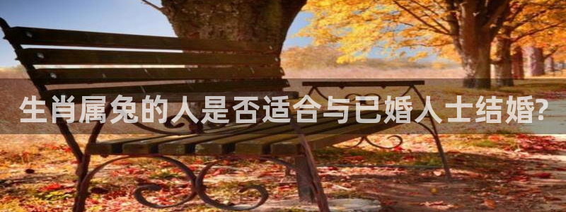 彩客网怀旧版官网