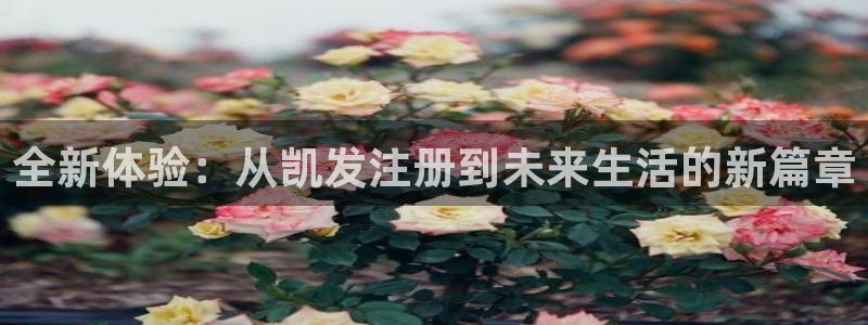 北单比分即时足球比分彩客网