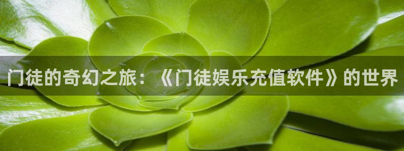 彩客网比分完整版推荐
