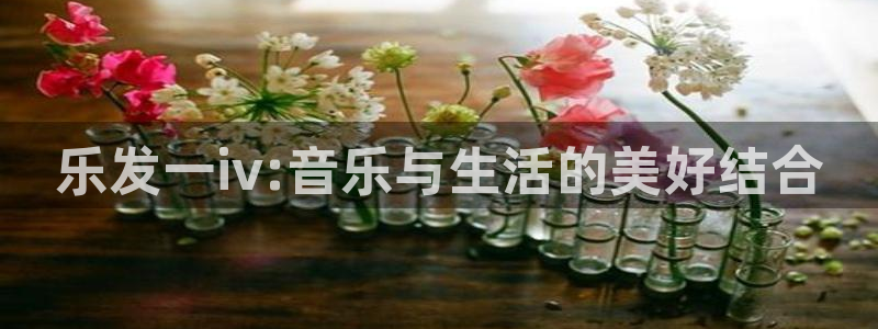球探彩客网