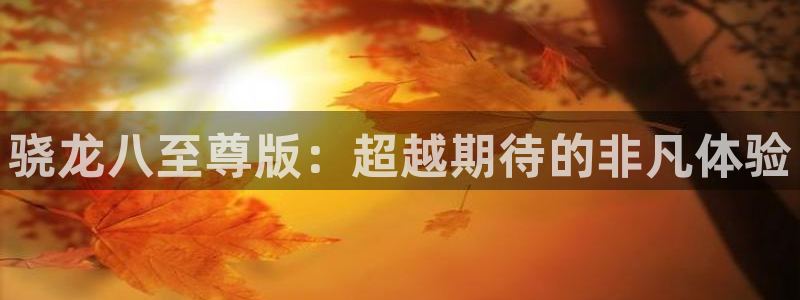 彩客网 比分完整版