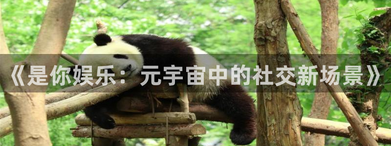 足球十四场彩客网