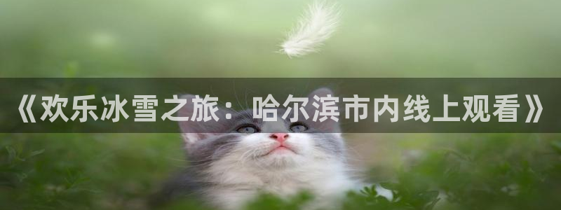 彩客网app旧版本手机下载