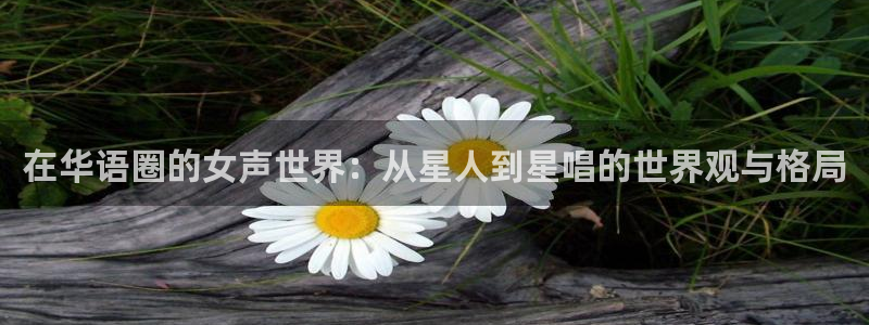 彩客网新版完整比分