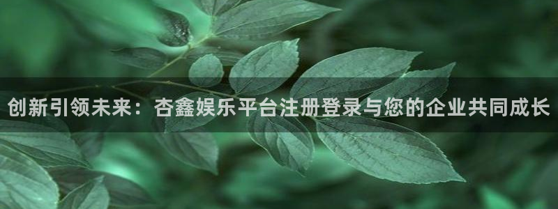 完整版即时比分彩客网