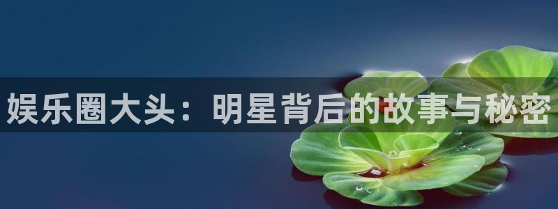彩客网即时比分完整