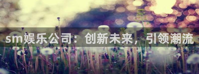 彩客网app手机版下载：sm娱乐公司：创新未来，引领潮流