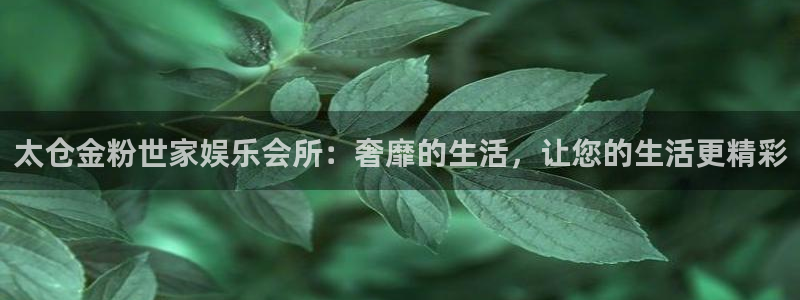 彩客网旧版：太仓金粉世家娱乐会所：奢靡的生活，让您的生活更精彩
