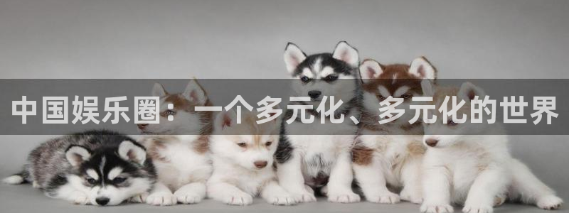 足球比分彩客网：中国娱乐圈：一个多元化、多元化的世界