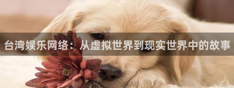 北京单场即时比分官网彩客网：台湾娱乐网络：从虚拟世界到现实世界中的故事