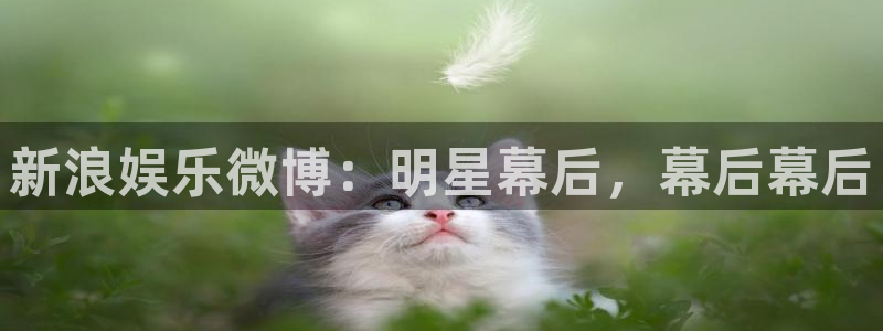 彩客网手机版app：新浪娱乐微博：明星幕后，幕后幕后