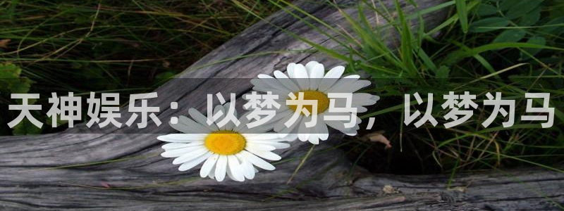 彩客网资讯：天神娱乐：以梦为马，以梦为马