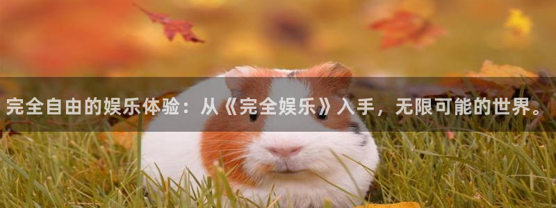胜负彩彩客网：完全自由的娱乐体验：从《完全娱乐》入手，无限可能的世界。