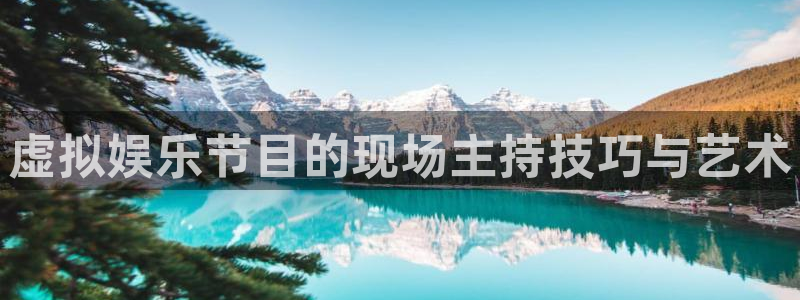 北单开奖彩客网：虚拟娱乐节目的现场主持技巧与艺术